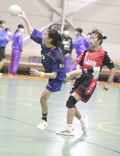 web12_handball