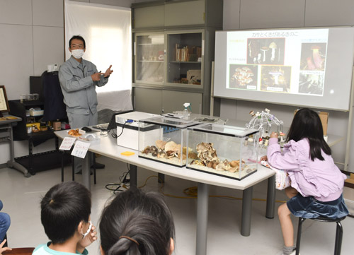 web08◎P説・岩出菌学研究所が創立六十周年記念し十年ぶり「こどもきのこ教室」