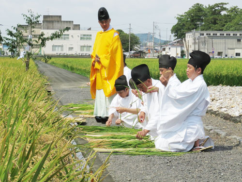 01web伊勢神宮「抜穂祭」2