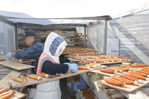 web09◎P説・カラスミの生産始まる、尾鷲市の魚鉄商店