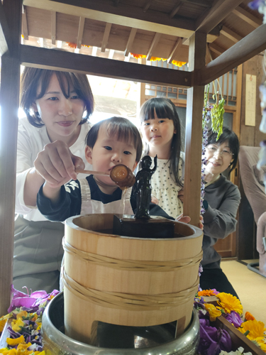 web08◎P説・四日市 大日寺で花まつり