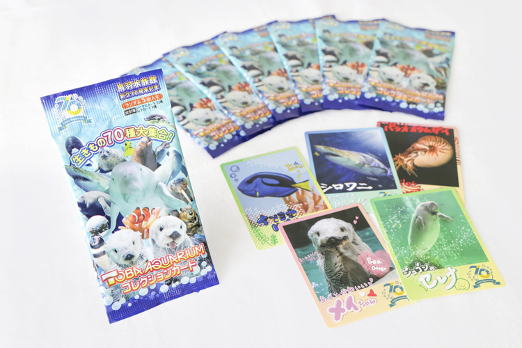 web09◎P説・鳥羽水族館が創立70周年記念のコレクションカードを販売